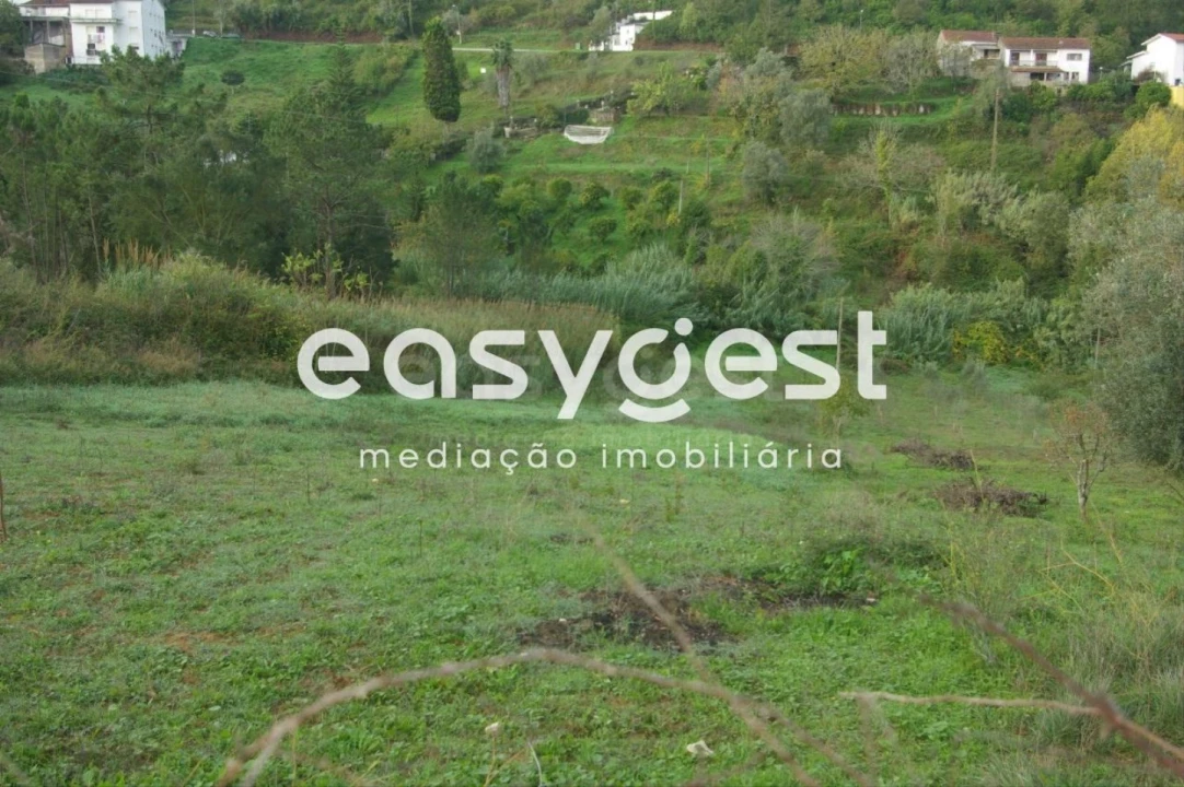 Terreno para Venda em Santa Clara e Castelo Viegas Foto 4