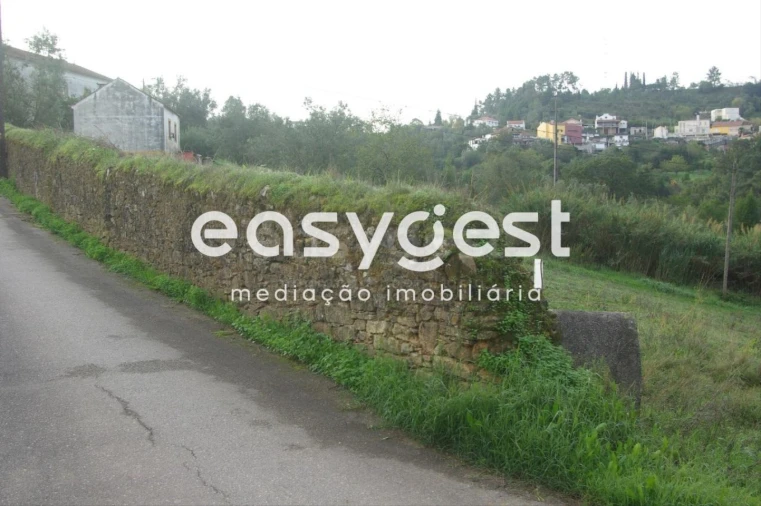 Terreno para Venda em Santa Clara e Castelo Viegas Foto 3