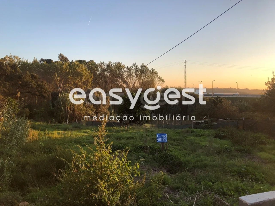 Terreno para Venda em Oliveira do Bairro Foto 1