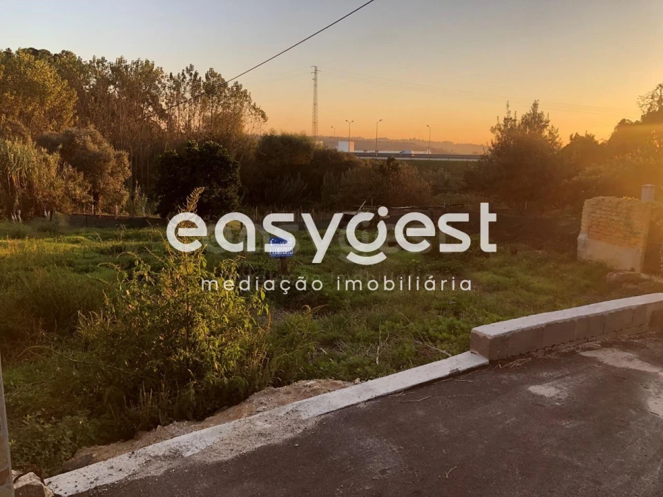 Terreno para Venda em Oliveira do Bairro Foto 4