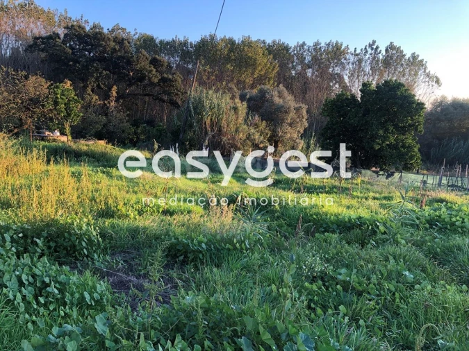 Terreno para Venda em Oliveira do Bairro Foto 3