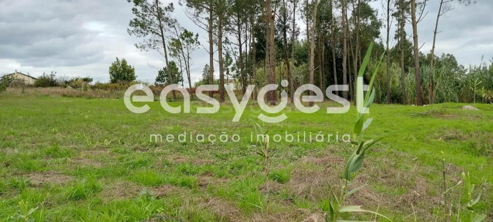 Terreno para Venda em Marinha Grande Foto 4