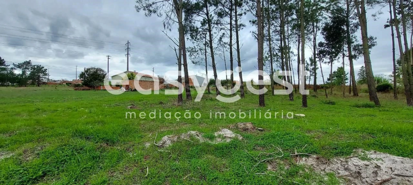 Terreno para Venda em Marinha Grande Foto 11