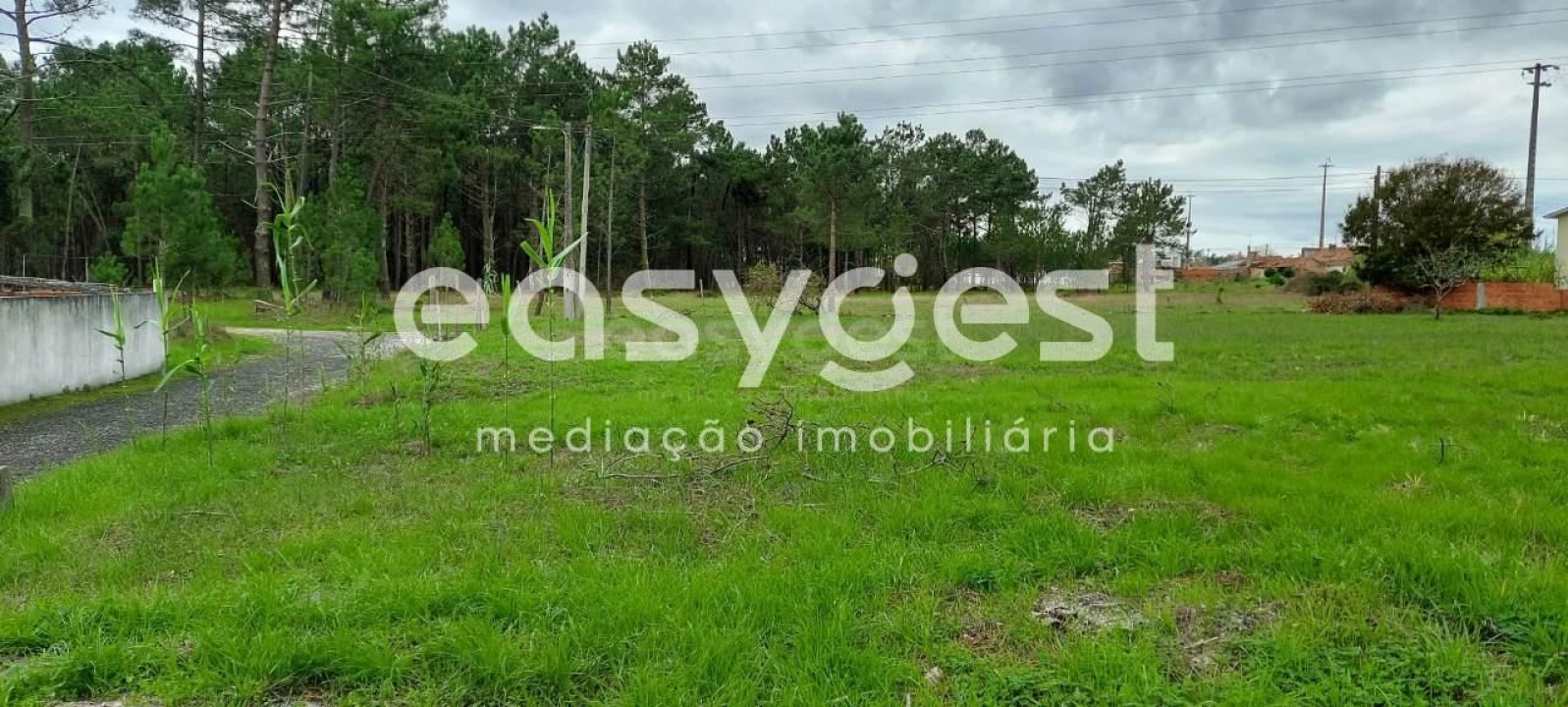 Terreno para Venda em Marinha Grande Foto 13