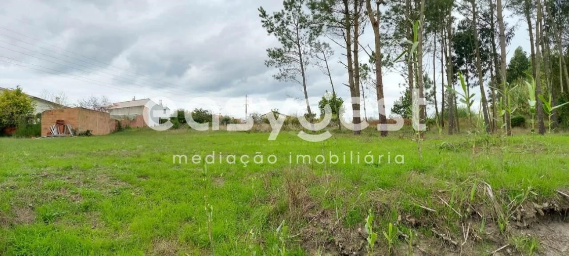 Terreno para Venda em Marinha Grande Foto 3