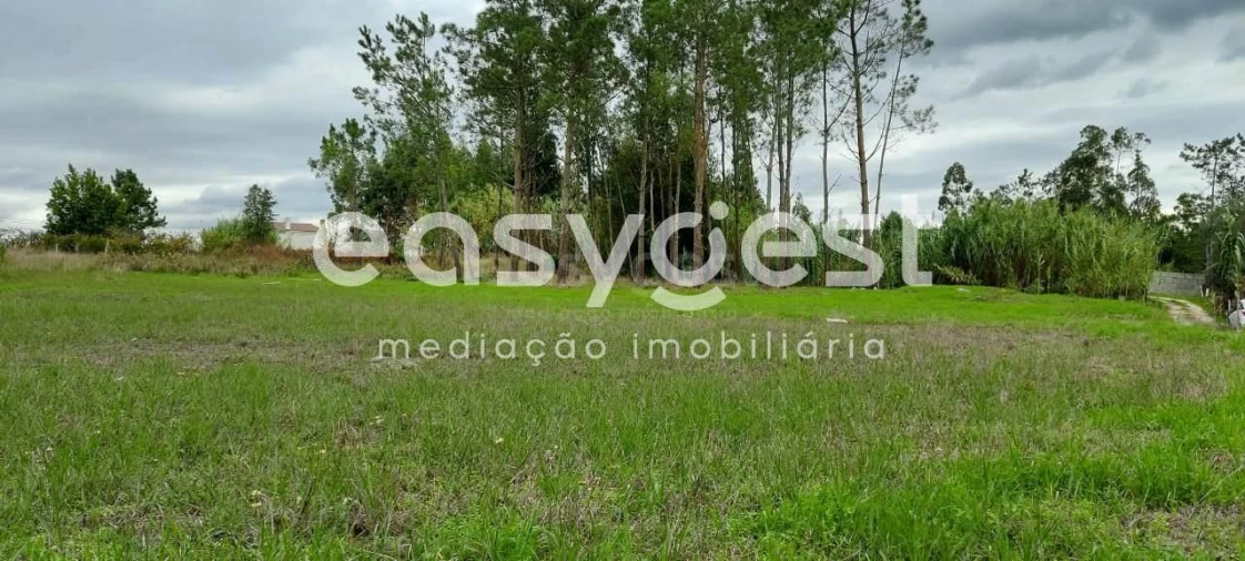 Terreno para Venda em Marinha Grande Foto 7
