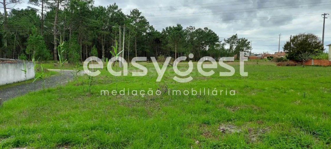 Terreno para Venda em Marinha Grande Foto 13