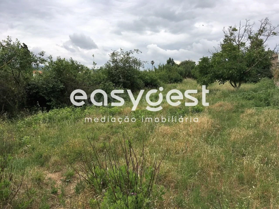Terreno para Venda em Evora de Alcobaça Foto 2