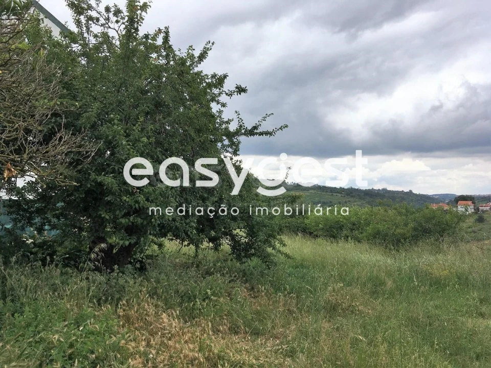 Terreno para Venda em Evora de Alcobaça Foto 3