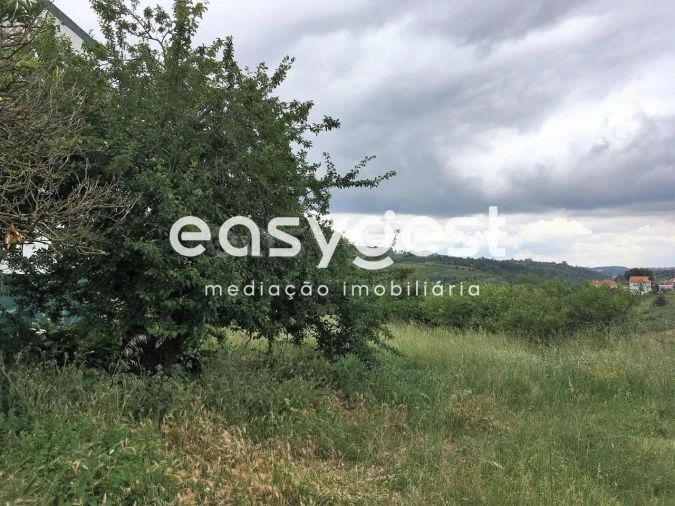 Terreno para Venda em Evora de Alcobaça Foto 3