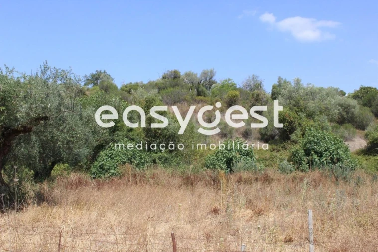 Terreno para Venda em Madalena e Beselga Foto 11