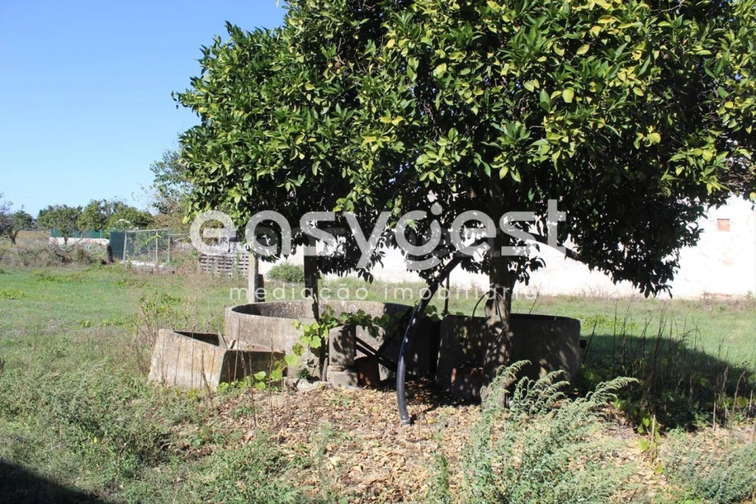 Terreno para Venda em Almeirim Foto 11