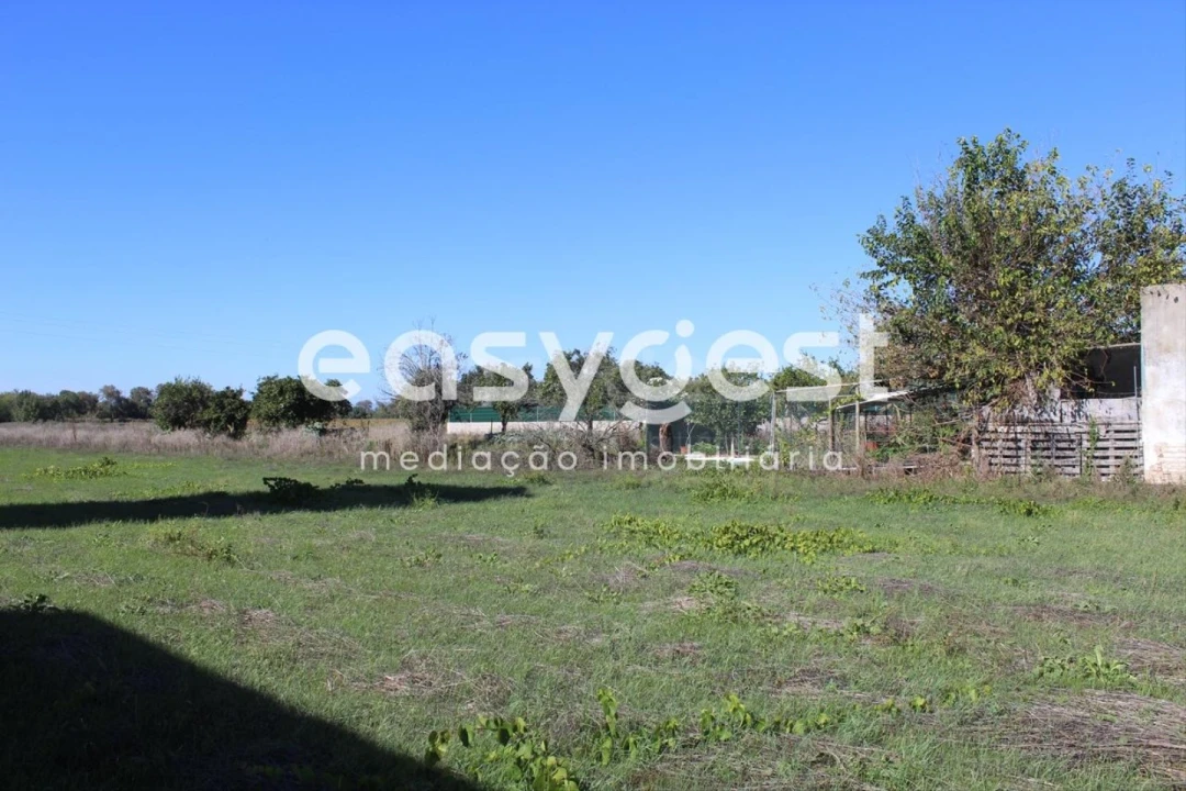 Terreno para Venda em Almeirim Foto 12