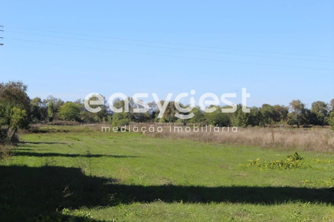 Terreno para Venda em Almeirim Foto 13