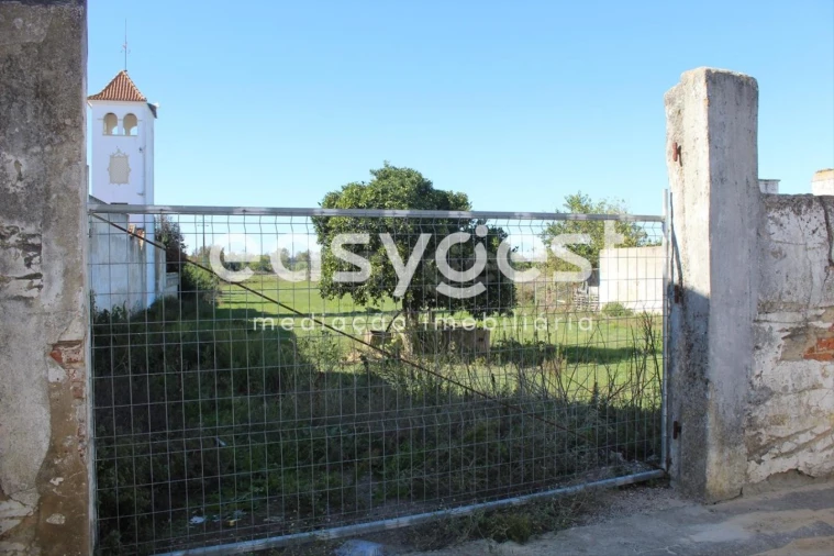 Terreno para Venda em Almeirim Foto 5