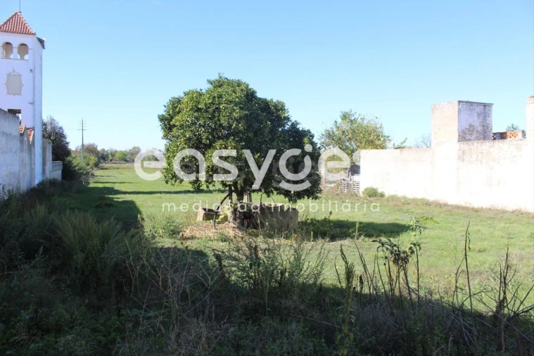 Terreno para Venda em Almeirim Foto 7