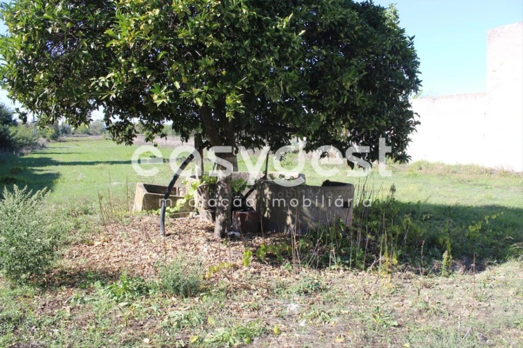 Terreno para Venda em Almeirim Foto 9