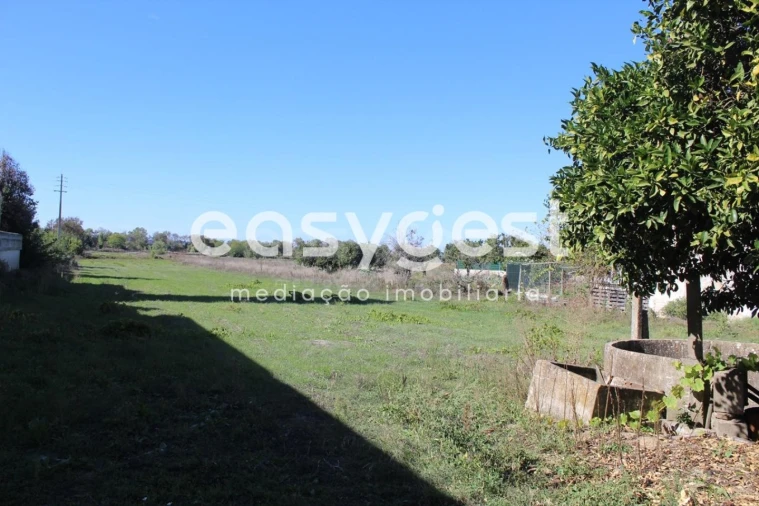 Terreno para Venda em Almeirim Foto 10