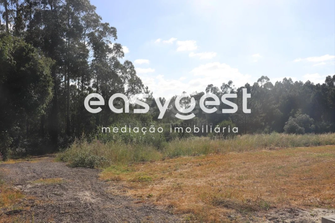 Terreno para Venda em Monte Redondo e Carreira Foto 2