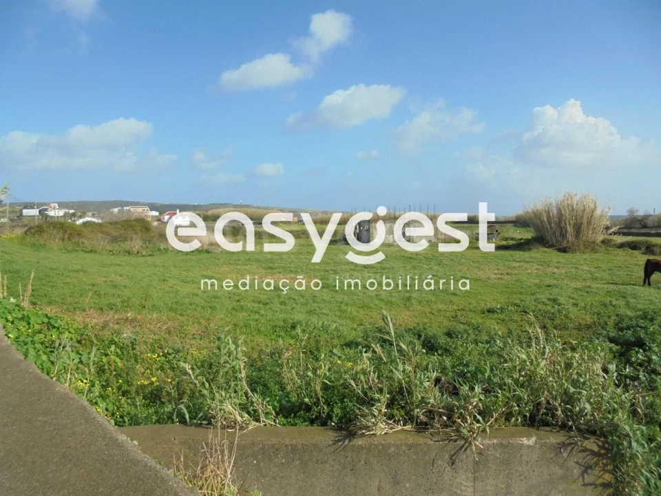 Terreno para Venda em Praia da Vitoria (Santa Cruz) Foto 3