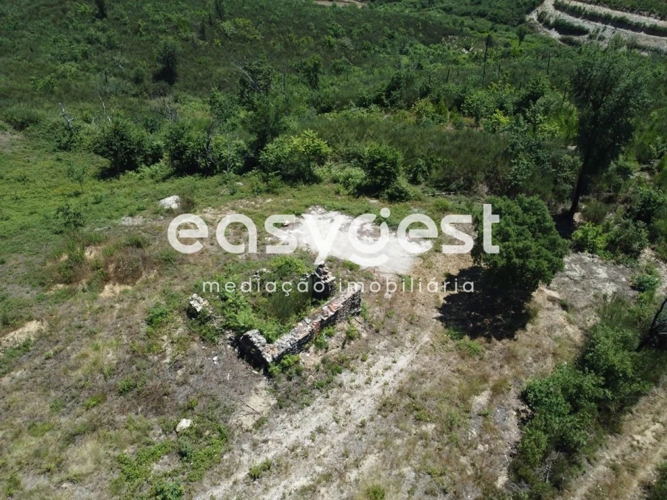 Terreno para Venda em Côja e Barril de Alva Foto 6