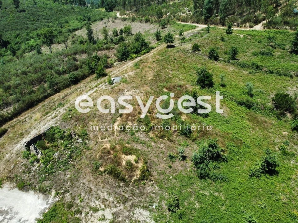 Terreno para Venda em Côja e Barril de Alva Foto 10
