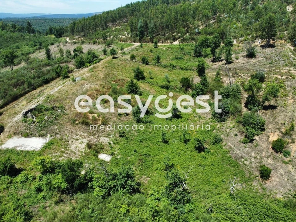 Terreno para Venda em Côja e Barril de Alva Foto 11