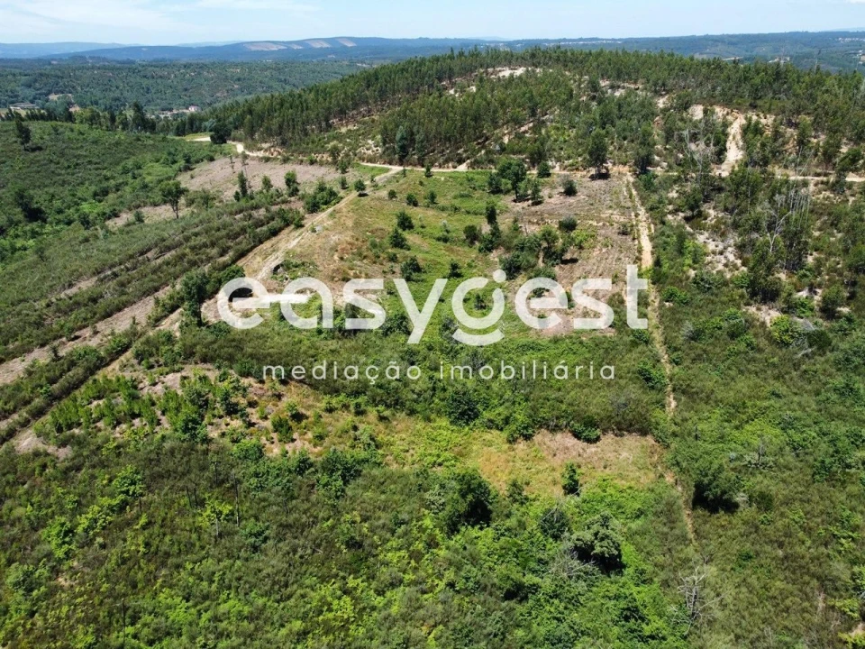 Terreno para Venda em Côja e Barril de Alva Foto 12