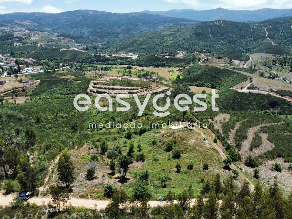 Terreno para Venda em Côja e Barril de Alva Foto 15