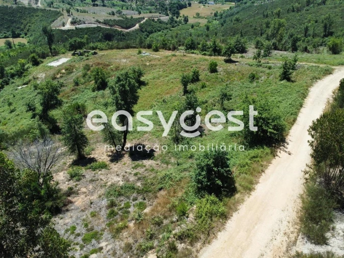 Terreno para Venda em Côja e Barril de Alva Foto 3