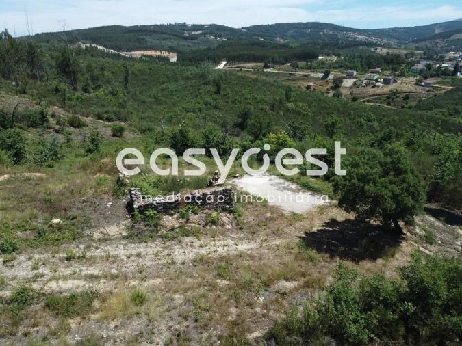 Terreno para Venda em Côja e Barril de Alva Foto 4