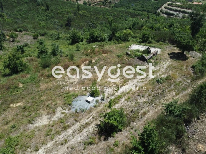 Terreno para Venda em Côja e Barril de Alva Foto 7