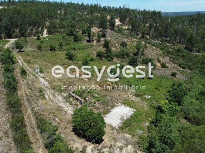 Terreno para Venda em Côja e Barril de Alva Foto 8
