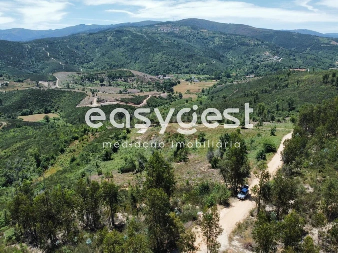 Terreno para Venda em Côja e Barril de Alva Foto 14
