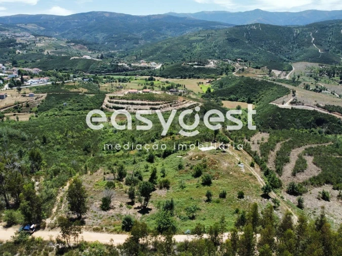 Terreno para Venda em Côja e Barril de Alva Foto 15