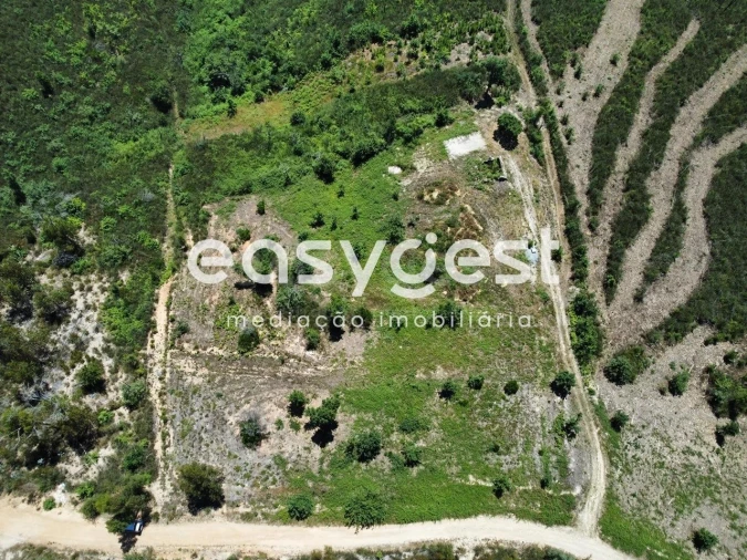 Terreno para Venda em Côja e Barril de Alva Foto 16