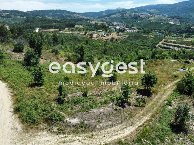 Terreno para Venda em Côja e Barril de Alva