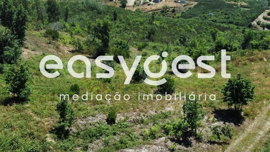 Terreno para Venda em Côja e Barril de Alva
