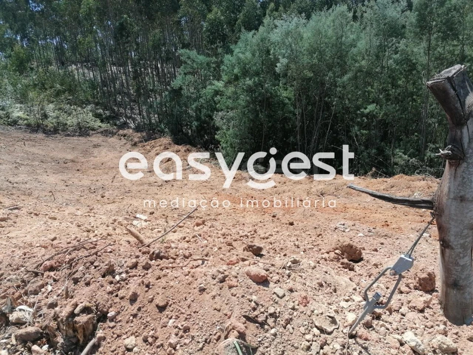 Terreno para Venda em Santa Clara e Castelo Viegas Foto 3