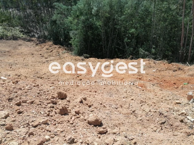 Terreno para Venda em Santa Clara e Castelo Viegas Foto 4