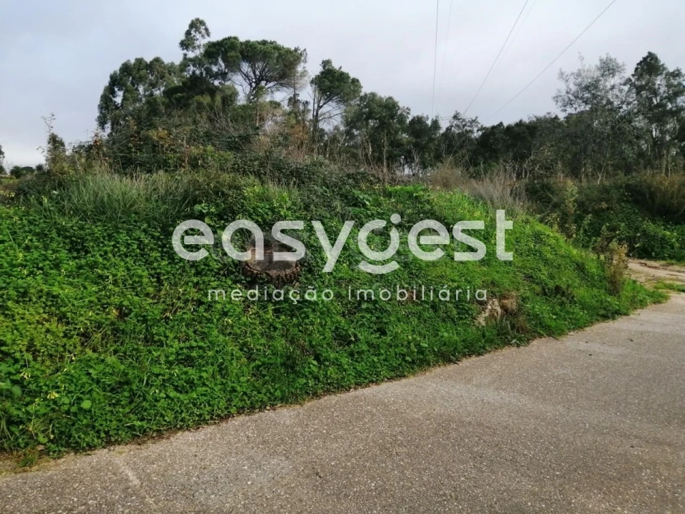 Terreno para Venda em Condeixa-A-Velha e Condeixa-A-Nova Foto 10