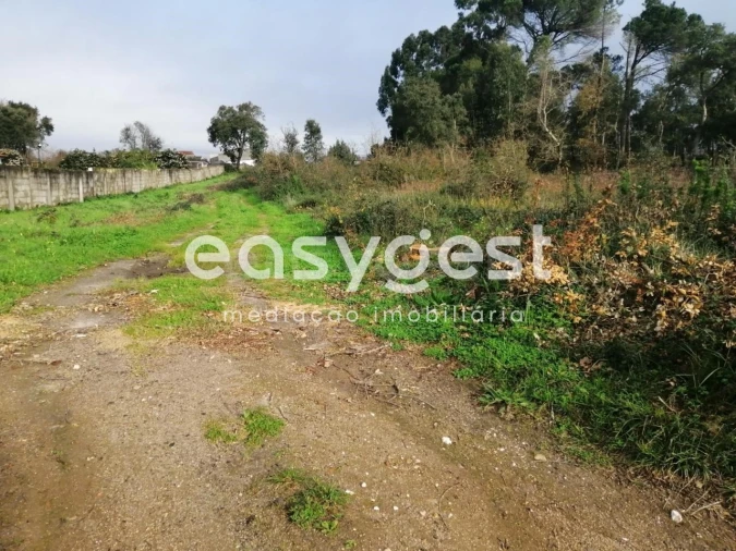 Terreno para Venda em Condeixa-A-Velha e Condeixa-A-Nova Foto 7
