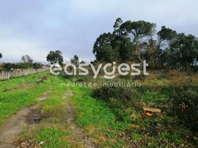 Terreno para Venda em Condeixa-A-Velha e Condeixa-A-Nova Foto 8