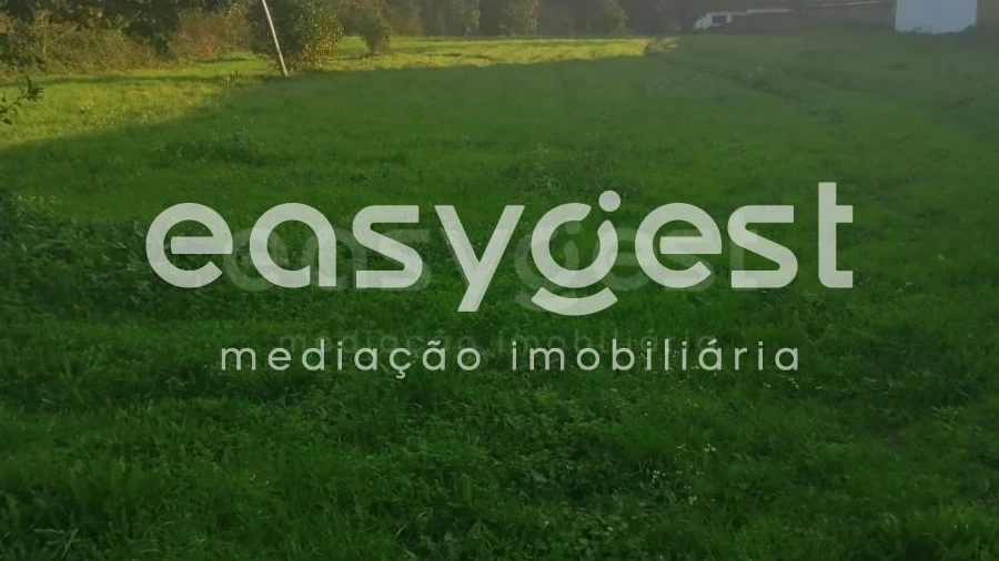 Terreno para Venda em Condeixa-A-Velha e Condeixa-A-Nova