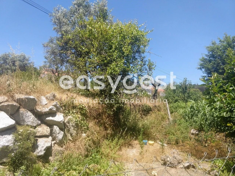Terreno para Venda em Rio de Loba Foto 1