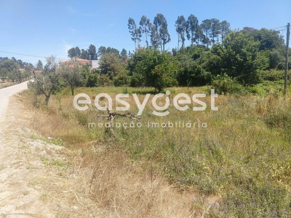 Terreno para Venda em Rio de Loba Foto 3