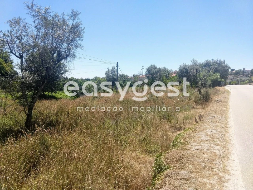 Terreno para Venda em Rio de Loba Foto 4