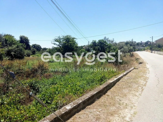 Terreno para Venda em Rio de Loba Foto 6