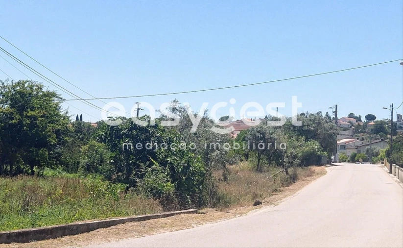 Terreno para Venda em Rio de Loba Foto 7