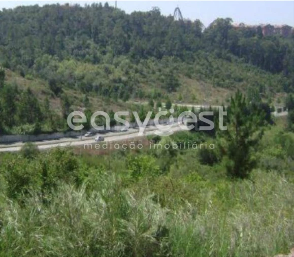 Terreno para Venda em Santo Antonio dos Olivais Foto 5